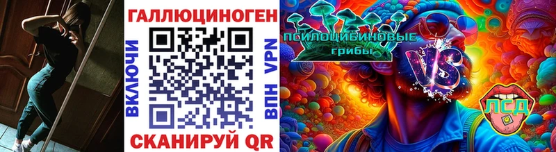 Купить где  Пикалёво  Галлюциногенные грибы GOLDEN TEACHER 